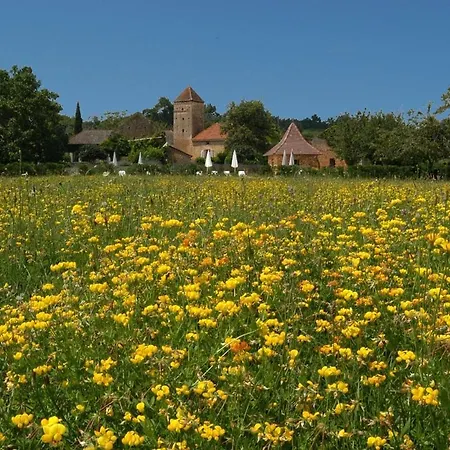 Holiday home Gites Du Boussagou *