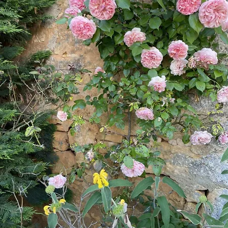 Gites Du Boussagou Marminiac