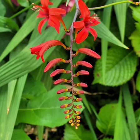 Vakantiehuis Du Boussagou Marminiac