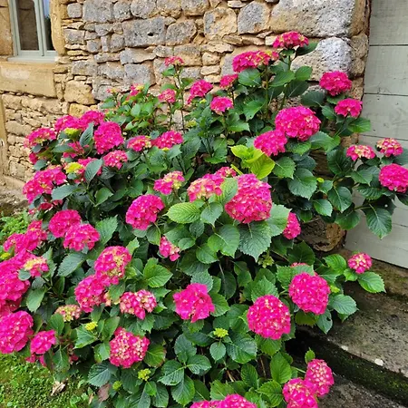 Du Boussagou * Marminiac