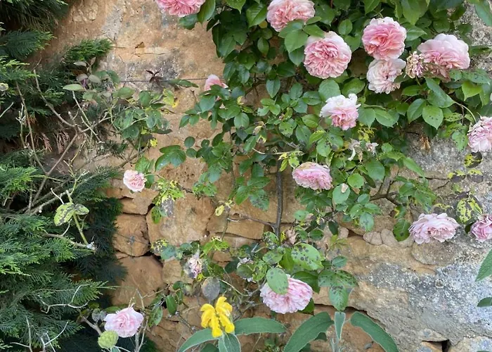 Du Boussagou Marminiac