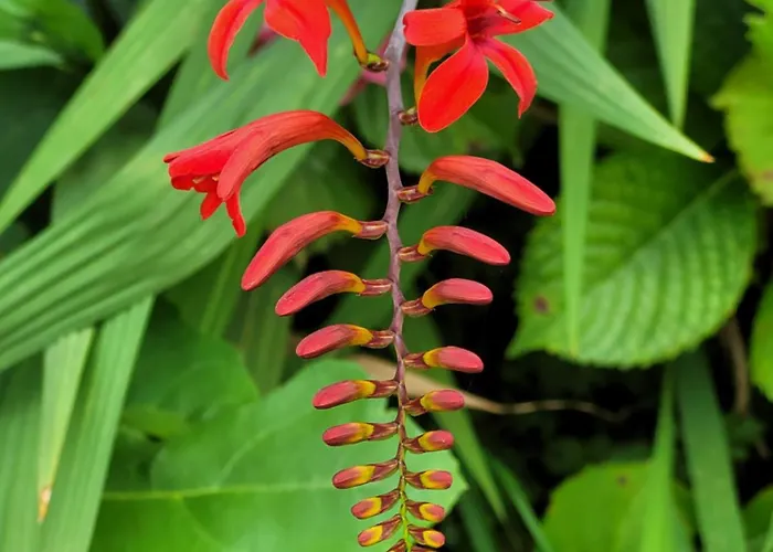 別荘 Du Boussagou Marminiac