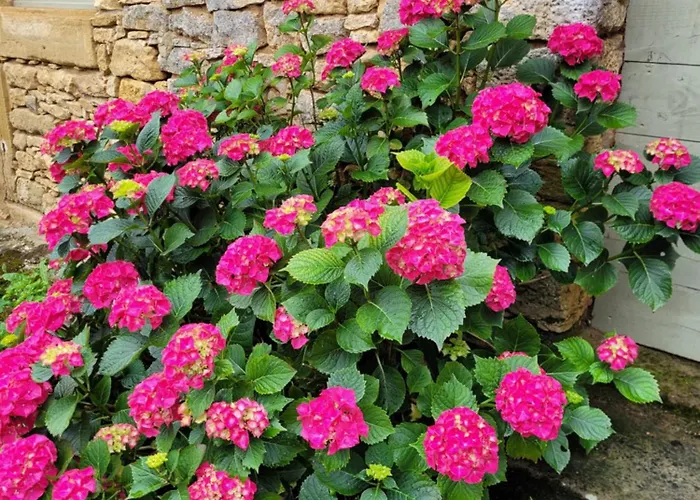 Du Boussagou * Marminiac